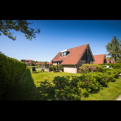 buitenkant orchis.jpg