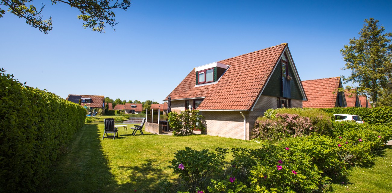 buitenkant orchis.jpg