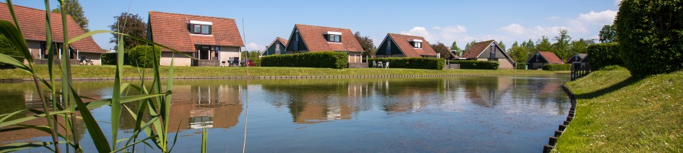 vijver.jpg