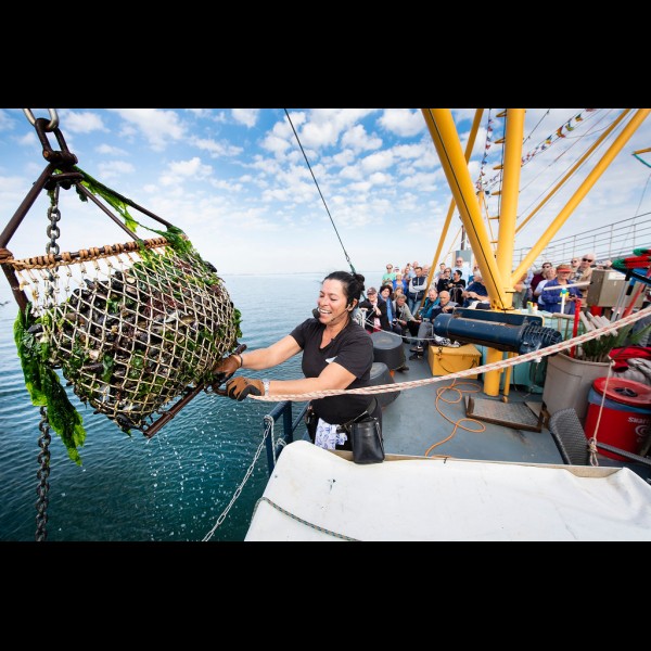 Marstrand Rondvaarten - Mosseltour YE100