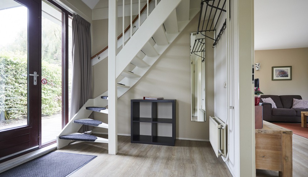 ORCHIS COMFORT (1).jpg