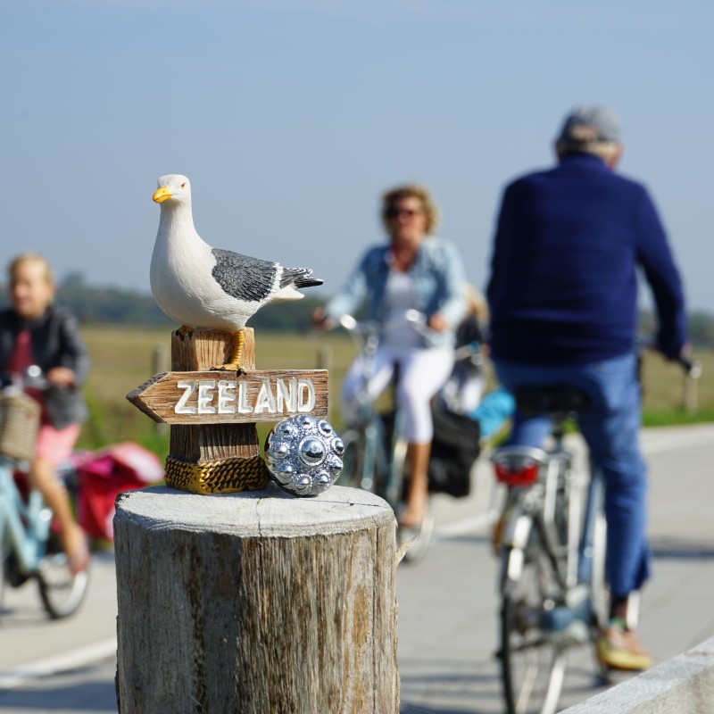 Fietsen Zeeland