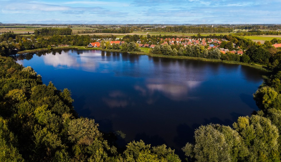 Stelleplas