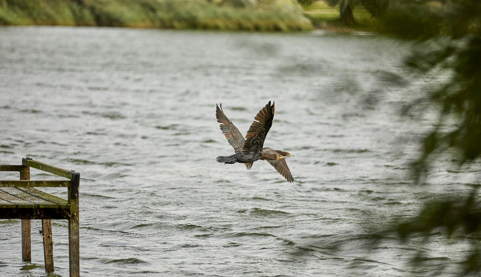 20201002_HofvanZeeland-Koppel2-0055.jpg