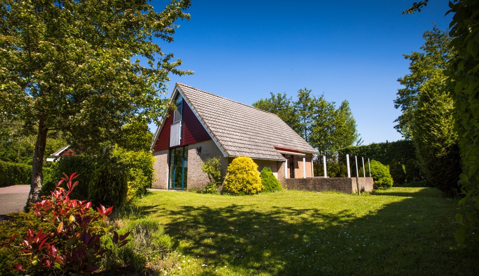 buitenkant orchis.jpg