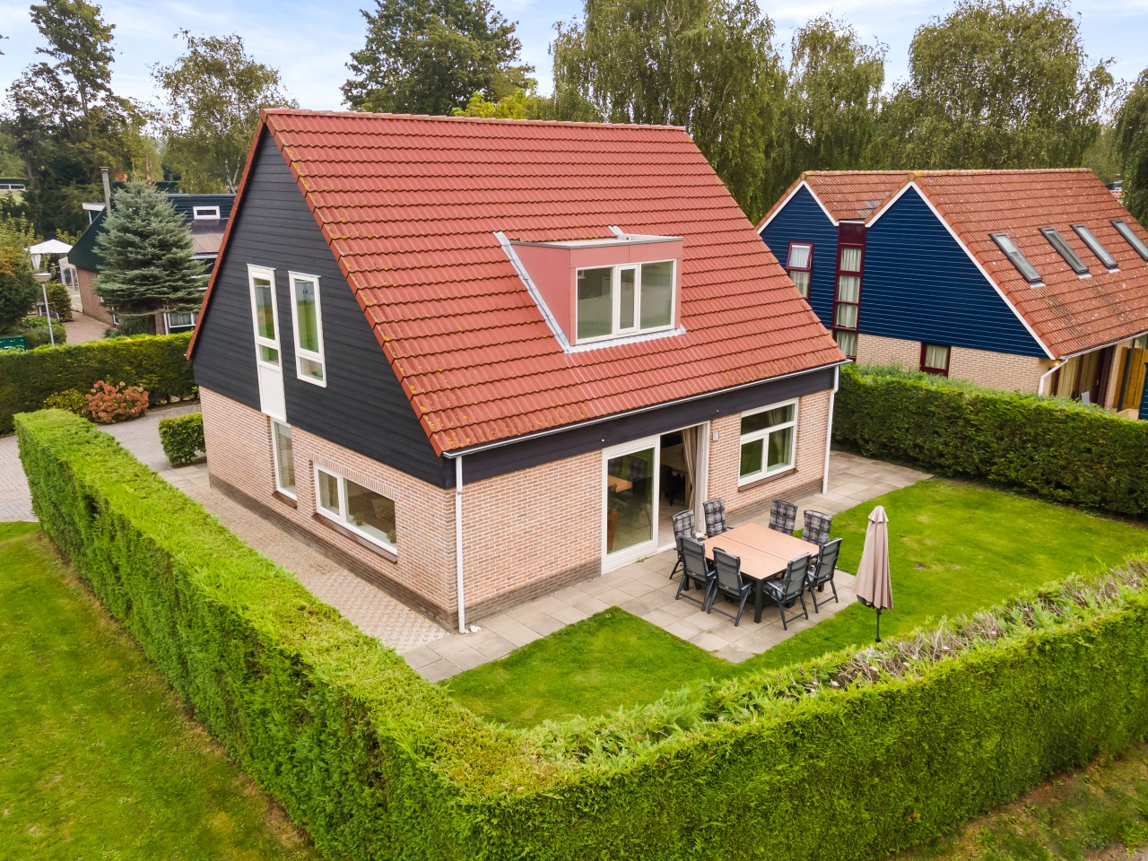 Narcis - 10 personen