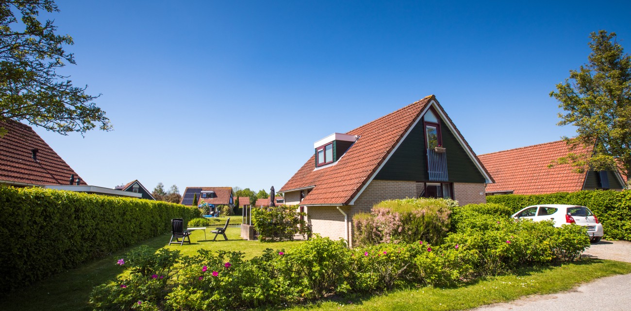 buitenkant orchis.jpg