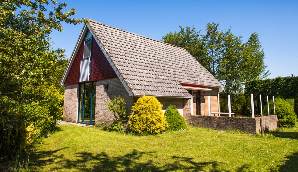 buitenkant orchis.jpg