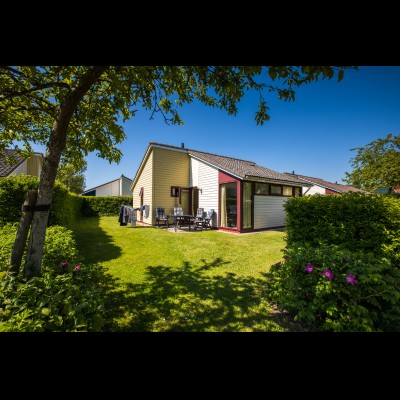 buitenkant crocus.jpg