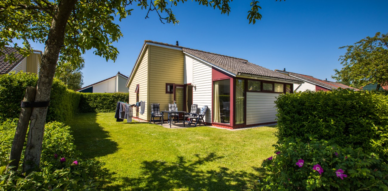 buitenkant crocus.jpg