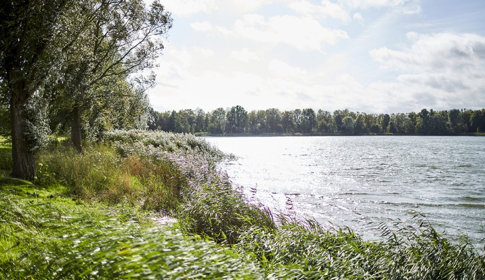 20201002_HofvanZeeland-Koppel1-0066.jpg