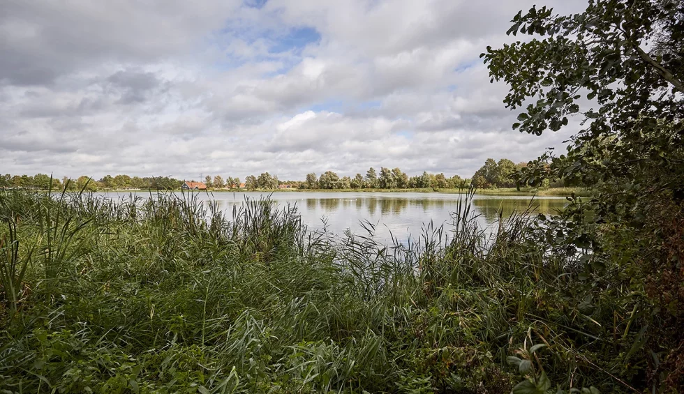 Uitzicht-op-viswater.webp