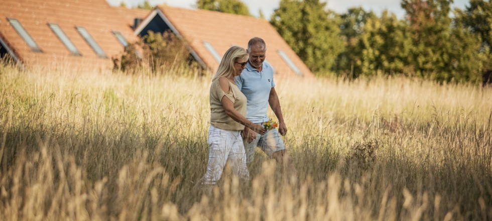 Stel - Weiland - Gras