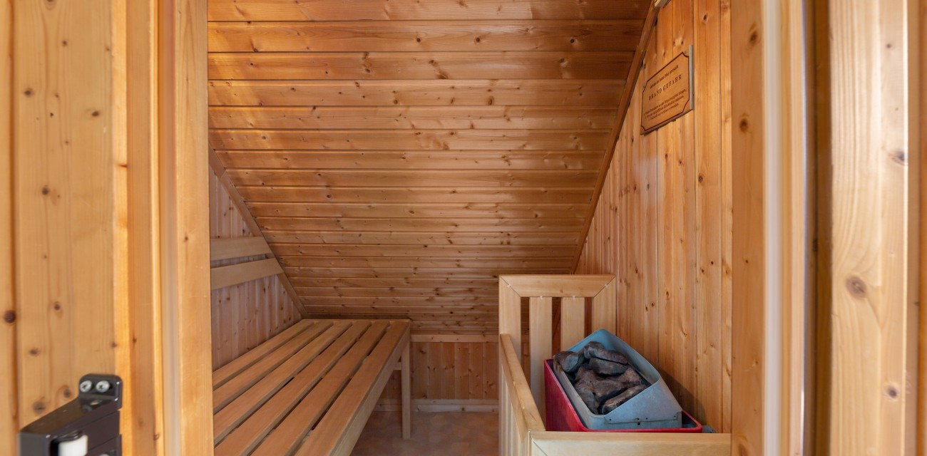 Orchis Wellness | Sauna