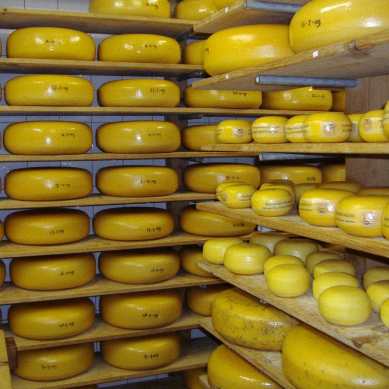 Kaasboerderij Ter Nisse