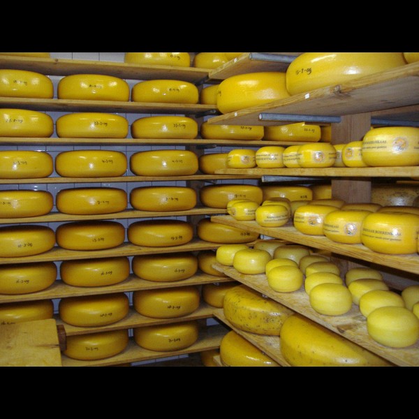 Kaasboerderij Ter Nisse