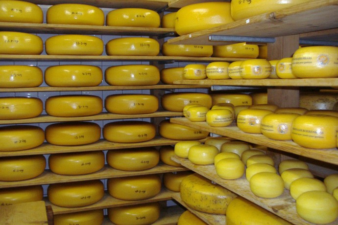 Kaasboerderij ter nisse.JPG