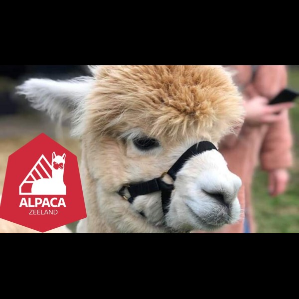 Alpaca Zeeland